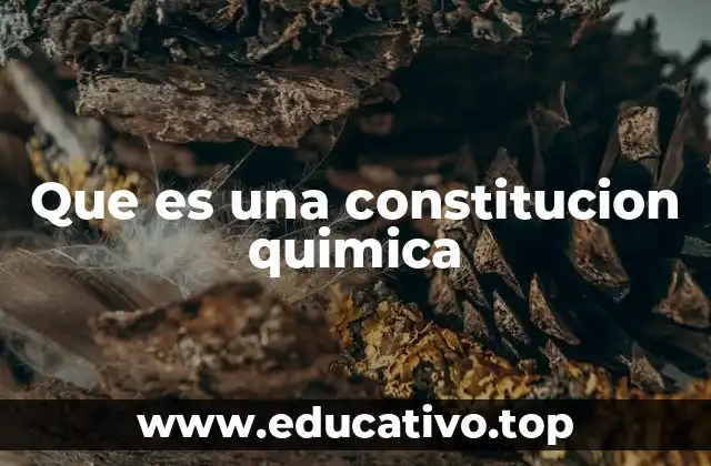 Que es una constitucion quimica