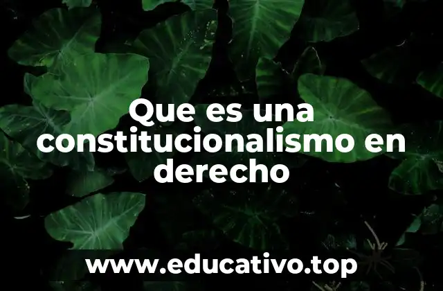 Que es una constitucionalismo en derecho