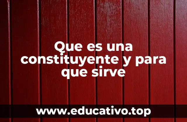 Que es una constituyente y para que sirve