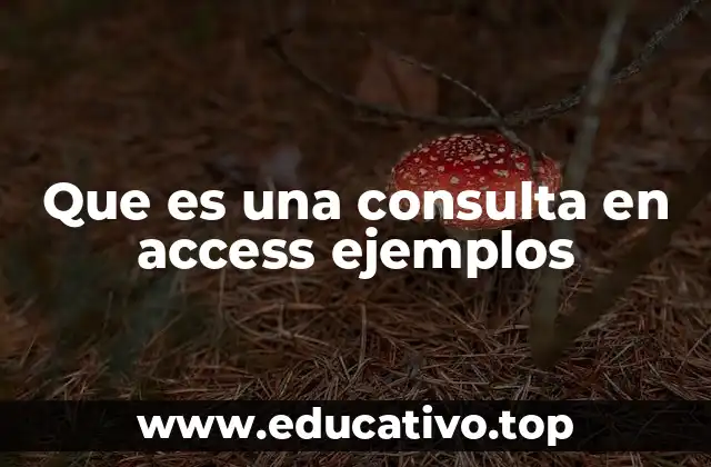 Que es una consulta en access ejemplos