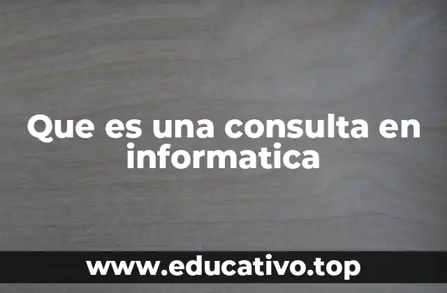 Que es una consulta en informatica