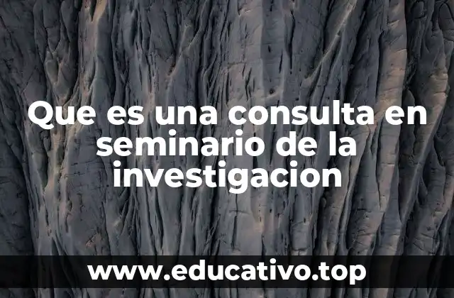 Que es una consulta en seminario de la investigacion