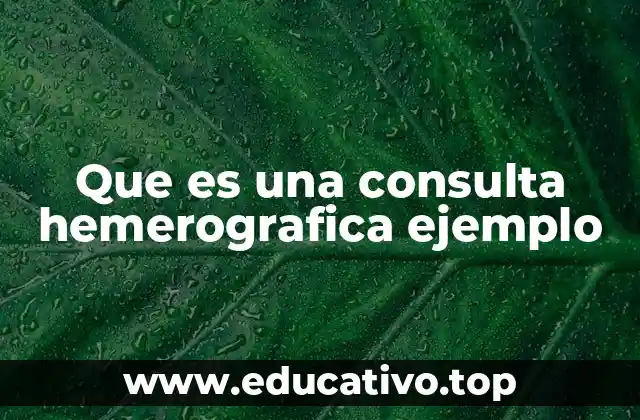 Que es una consulta hemerografica ejemplo