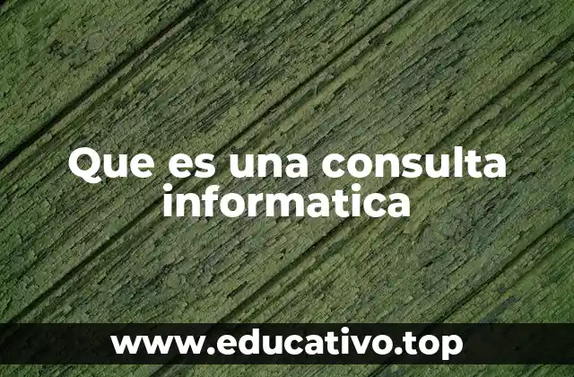 Que es una consulta informatica