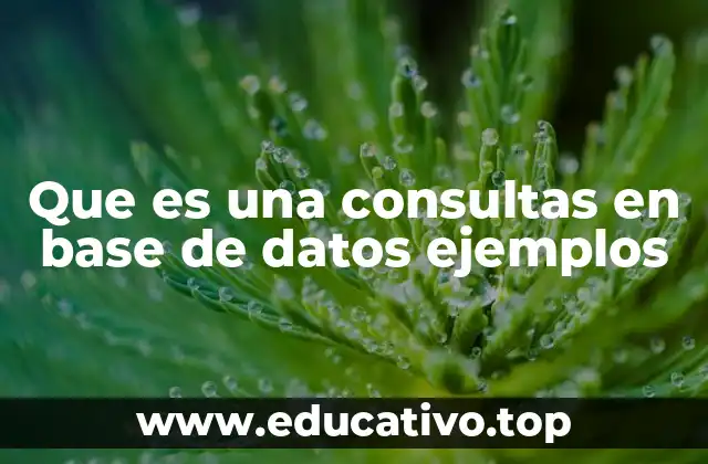 La importancia de las consultas en la gestión de datos