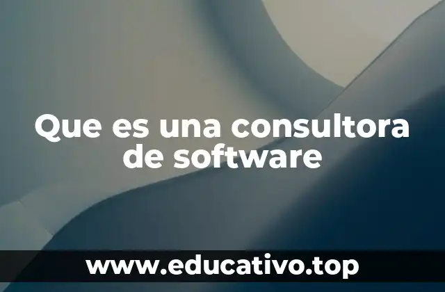 Que es una consultora de software