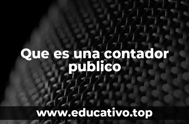 Que es una contador publico