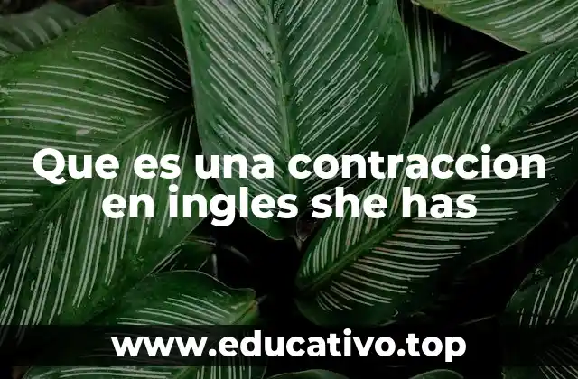 Que es una contraccion en ingles she has