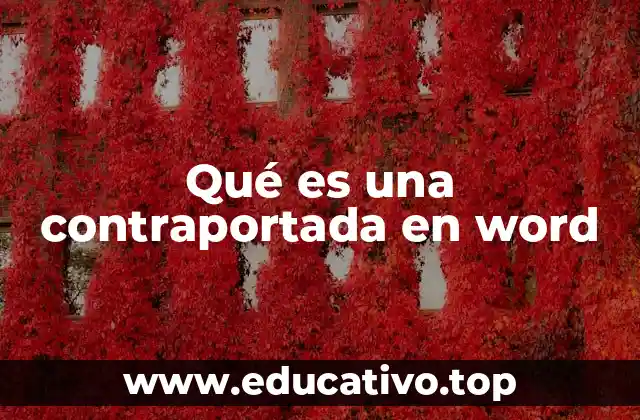 Qué es una contraportada en word