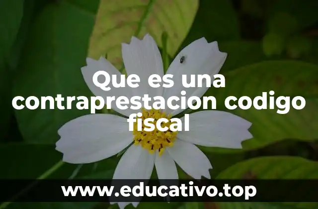 Que es una contraprestacion codigo fiscal