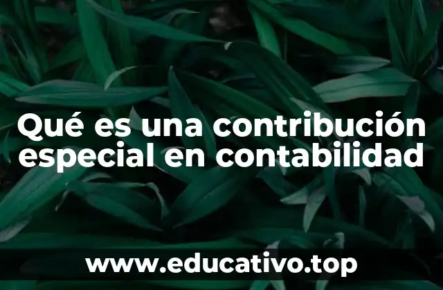 Cómo se diferencian las contribuciones especiales de otros impuestos