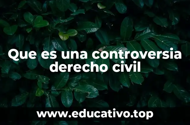 Que es una controversia derecho civil