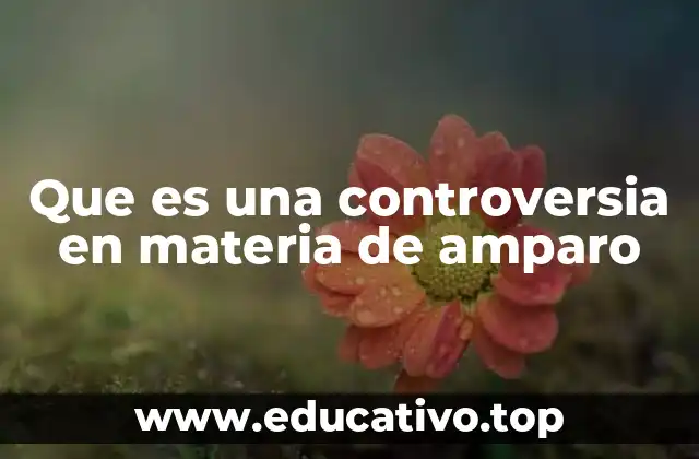 Que es una controversia en materia de amparo
