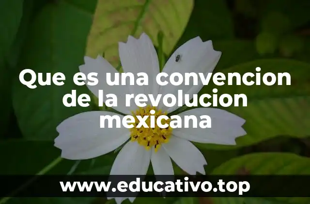 Que es una convencion de la revolucion mexicana