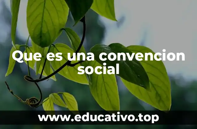 Que es una convencion social