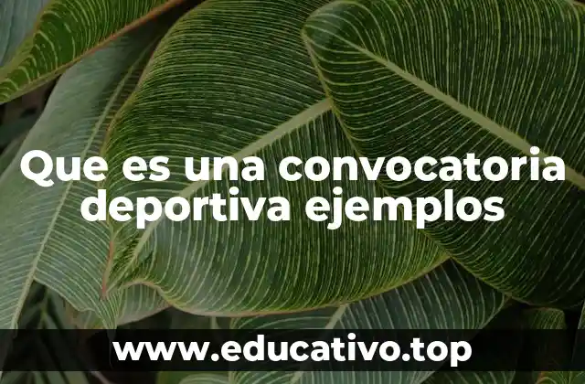 Que es una convocatoria deportiva ejemplos