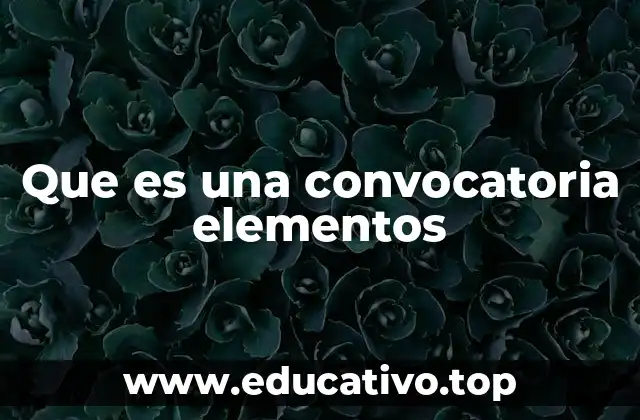 Que es una convocatoria elementos