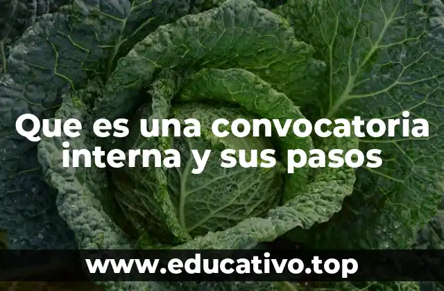 Que es una convocatoria interna y sus pasos