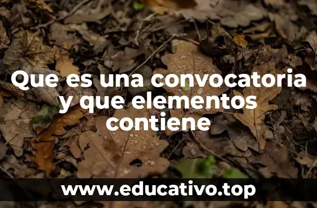 Que es una convocatoria y que elementos contiene