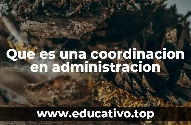 Que es una coordinacion en administracion