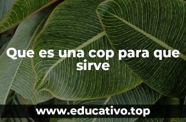 Que es una cop para que sirve