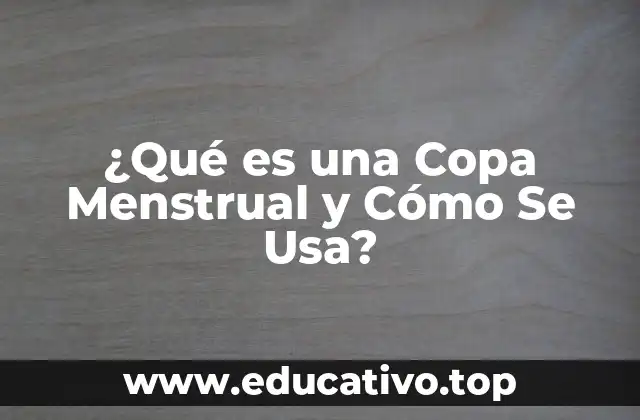 ¿Qué es una Copa Menstrual y Cómo Se Usa?