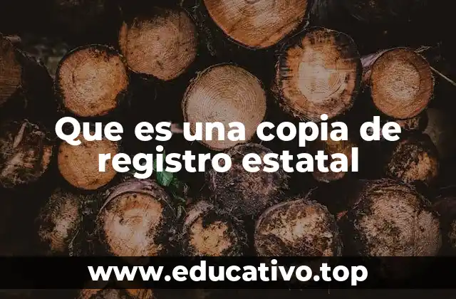 Que es una copia de registro estatal