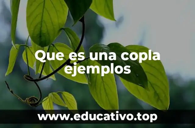 Que es una copla ejemplos