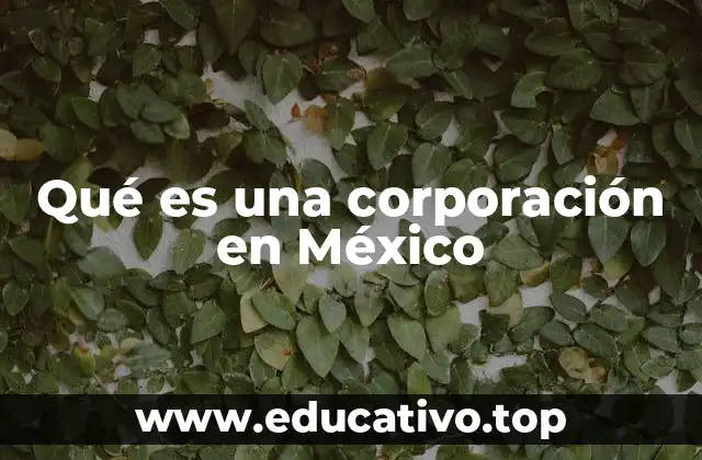 Qué es una corporación en México