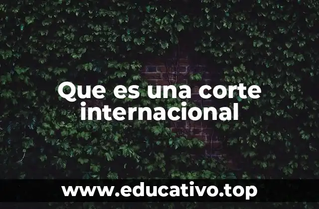 Que es una corte internacional