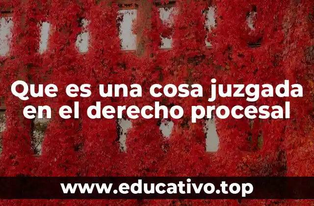 Que es una cosa juzgada en el derecho procesal