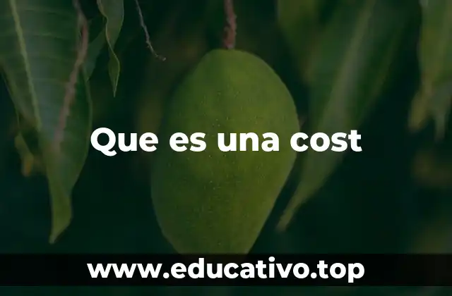 Que es una cost