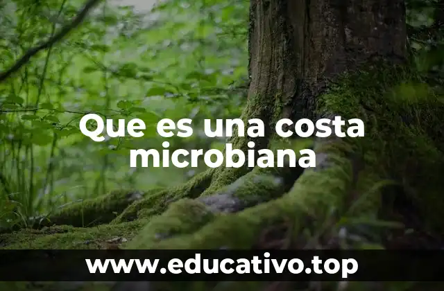Que es una costa microbiana