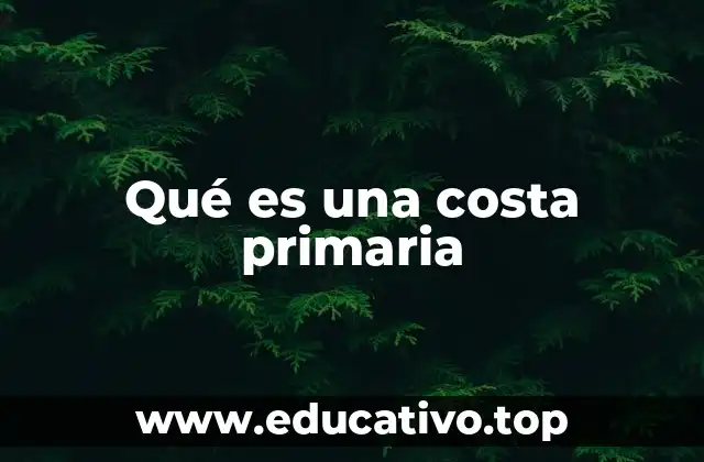 Características de las costas primarias