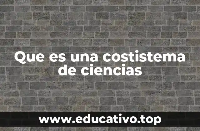 Que es una costistema de ciencias