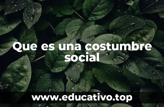 Que es una costumbre social