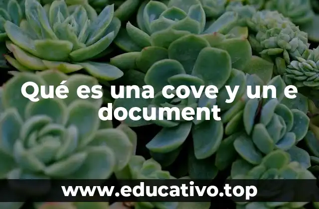 Qué es una cove y un e document