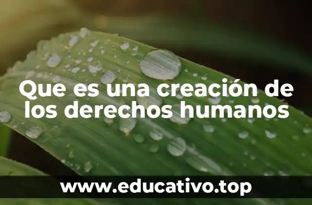 Que es una creación de los derechos humanos