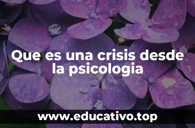 Que es una crisis desde la psicologia