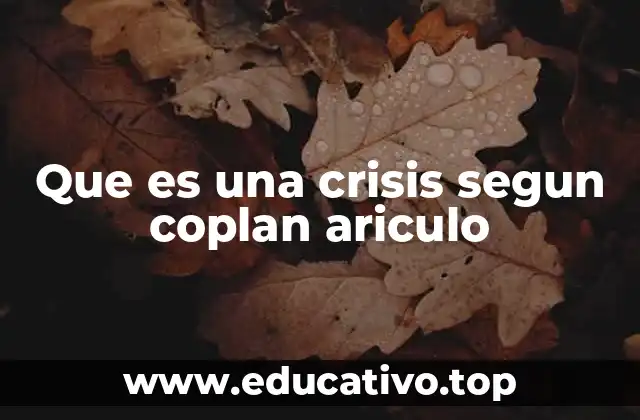 Que es una crisis segun coplan ariculo