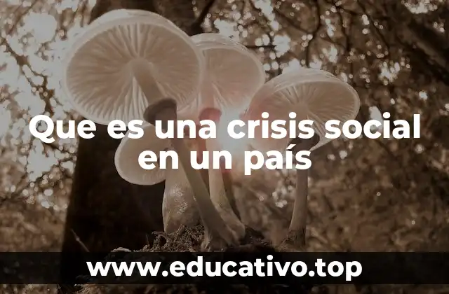 Que es una crisis social en un país