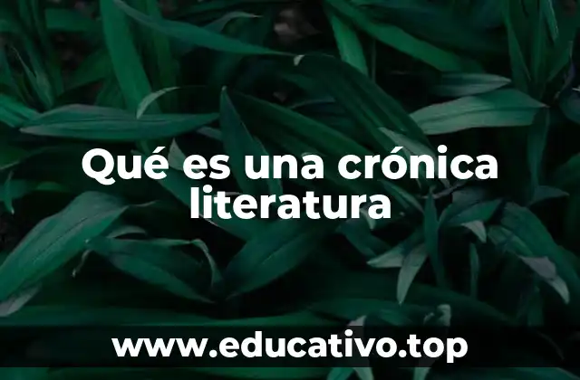 Qué es una crónica literatura