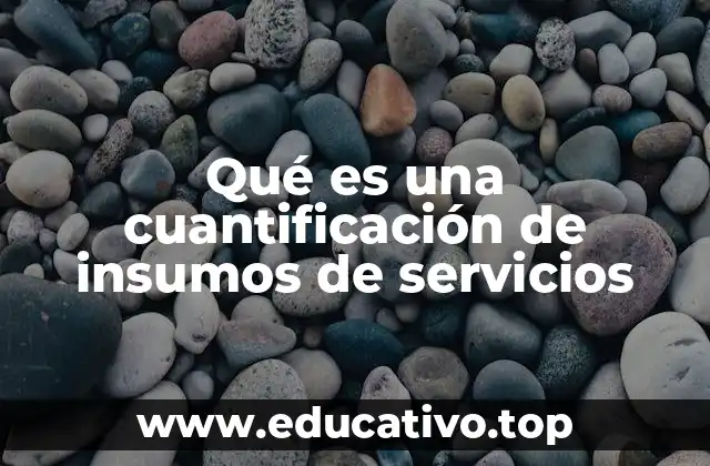 Qué es una cuantificación de insumos de servicios