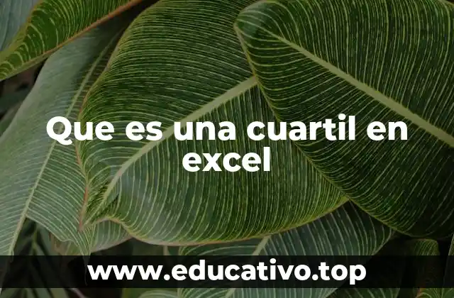Que es una cuartil en excel