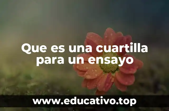 Que es una cuartilla para un ensayo