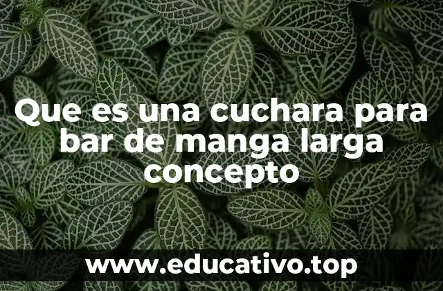 Que es una cuchara para bar de manga larga concepto