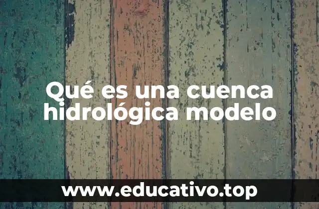 Qué es una cuenca hidrológica modelo