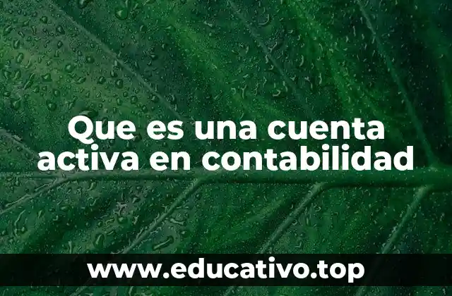 Que es una cuenta activa en contabilidad