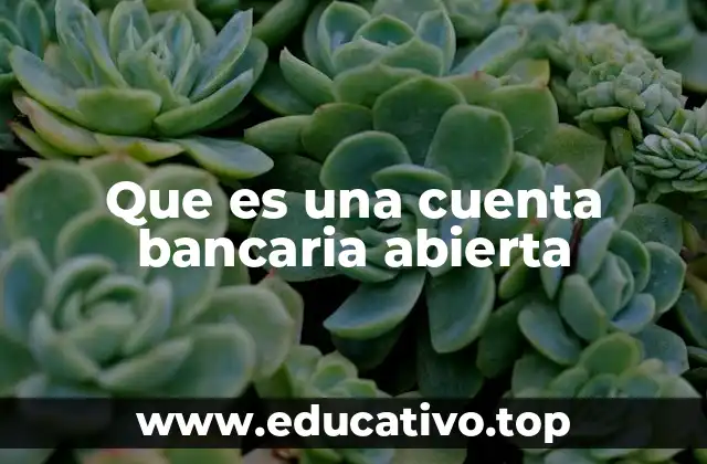 Que es una cuenta bancaria abierta