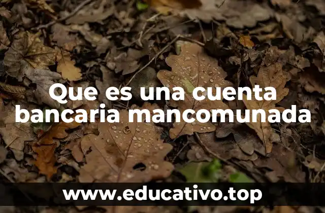 Que es una cuenta bancaria mancomunada